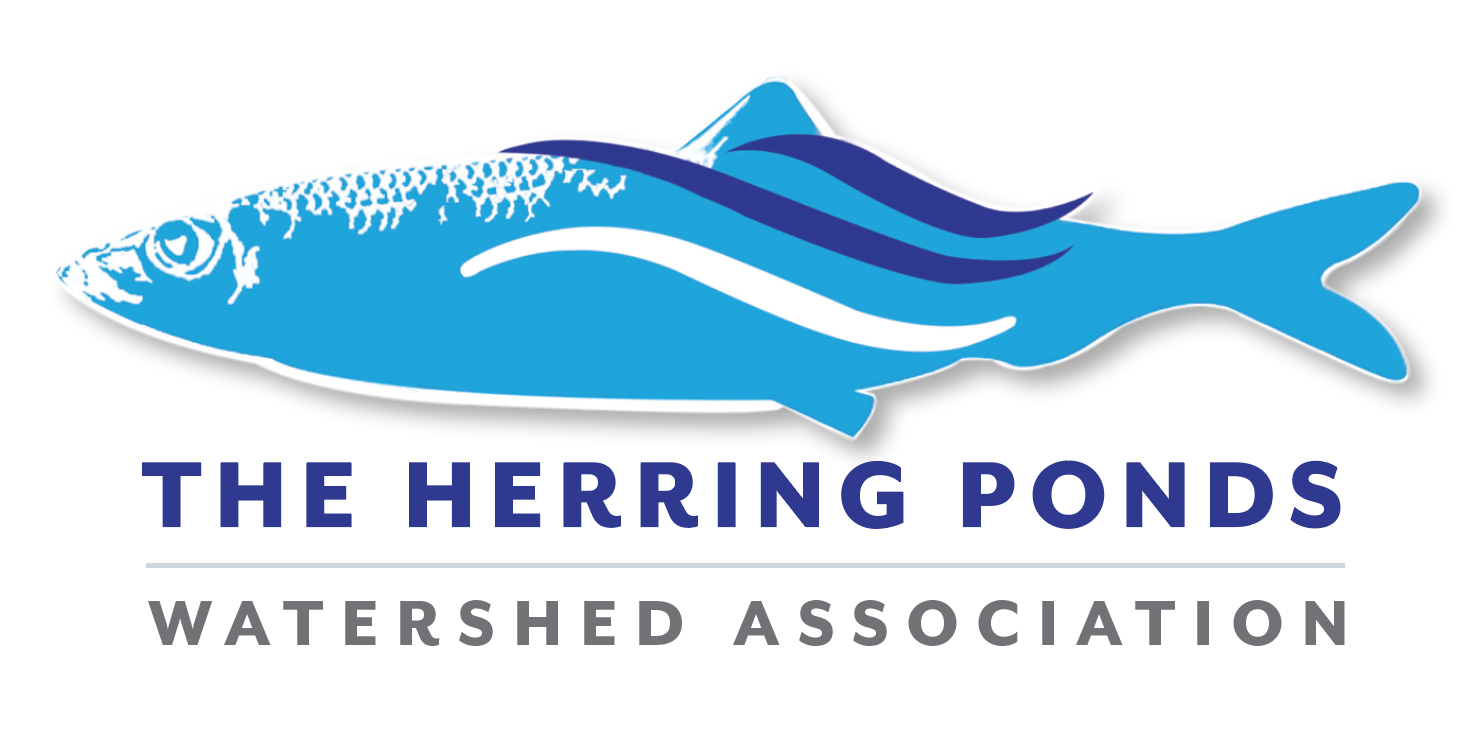 herring ponds watershed association logo 2021