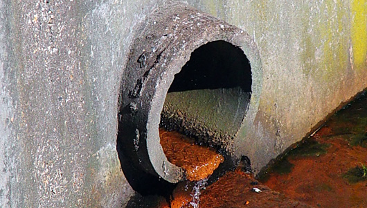 sewer large